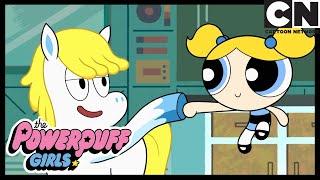 UNICORN FRIEND - Horn Sweet Horn  The Powerpuff Girls  Cartoon Network