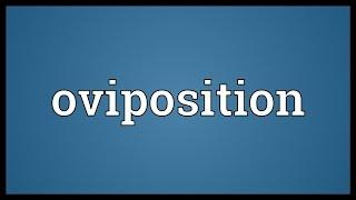 Oviposition Meaning