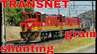 TRANSNET freight rail Diesels Shunter Locomotives at OOSTERZEE