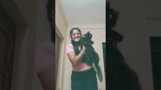 #bollywood #song  with my cat   ## cover by Trisha