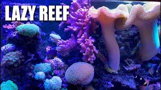 Reef keeping for lazy people. No water changes minimal maintenance