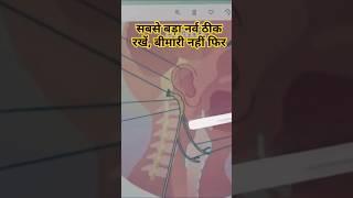 सबसे बड़ा नस Vagus Nerve ठीक रखें बस कोई Organ अंग नहीं होगा बीमार Yoga Guru Dheeraj #shorts Hindi