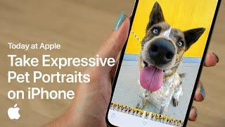 Take Expressive Pet Portraits on iPhone with Sophie Gamand  Apple