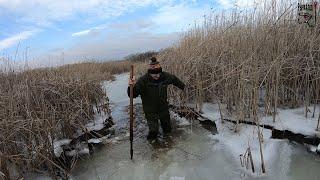 Провальная перволёдка. Закоряженные ОКУНИ.