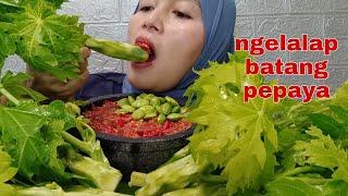 NGELALAP BATANG DAUN PEPAYA TANPA NASI SAMBEL KENCUR EXTRA PEDAS  MUKBANG INDONESIA