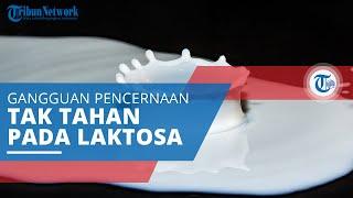 Intoleransi Laktosa Gangguan Pencernaan hingga Diare akibat Tubuh Tidak Dapat Mencerna Laktosa