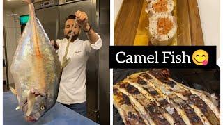 Fabulous Recipes from Camel Fish Faruk CHEF