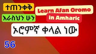 Oromo language to Amharic እየተዝናኑ ይማሩ @fikremartube1221 #education