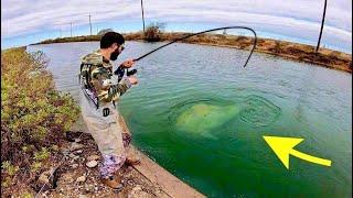 This TINY SPILLWAY holds a MASSIVE FISH