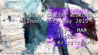 theartVIEw - VIENNA GALLERY WEEKEND Inner City May 2015