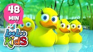 Five Little Ducks - THE BEST Nursery Rhymes and Songs for Children  LooLooKids