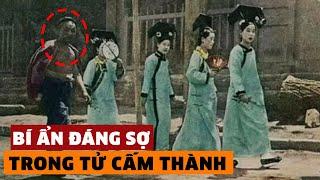 Tổng Hợp MỌI Bí Ẩn Đáng Sợ Trong Tử Cấm Thành Mà Người Trung Quốc Luôn Cố Che Giấu