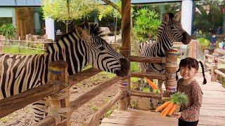 Kasih Makan Kuda Zebra & Naik Kereta ChoChoo Train  Mengenal Binatang Lucu untuk Anak Anak