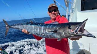 My First Fishing trip on a 6 Million Dollar Boat Wahoo and Yellowfin Tuna Catch and Cook