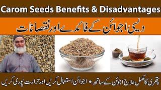 Carom Seeds Benefits-Disadvantages UrduHindi Ajwain Ke Fayde Aur Nuksan  Al-Razaqi Health Recover