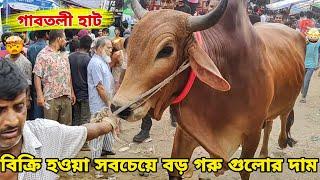 Bhai Koto Nilo 2024  Gabtoli Cattle Market  Gabtoli Gorur Haat 2024  Gorur Haat Update p- 6