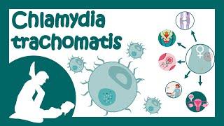 Chlamydia trachomatis  Chlamydial infection  Sexually transmitted disease  Treatment of Chlamydia