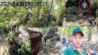 Trekking In To The Deep Forest Of Tripura