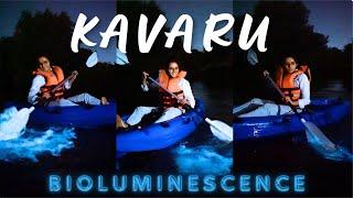 KAVARU  Bioluminescence  at Kumbalangi @annsheetalyoutube #annsheetal