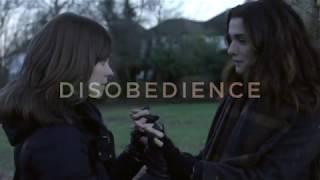 DISOBEDIENCE - Its Insane That You Were Here