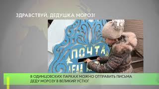 Здравствуй дедушка Мороз