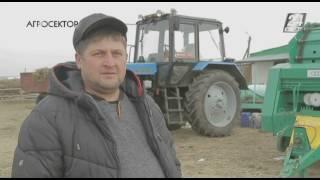 Агросектор. Что дает фермерам кредитное товарищество «Болашақ»?
