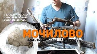 Мочилово обработка коряг без варки Processing driftwood without cooking