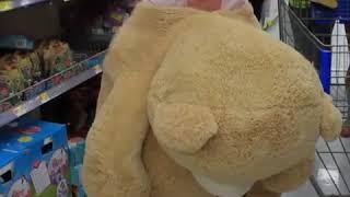 Broma del oso de peluche