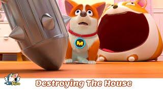 Flying MOCO   Destroying Your Home 拆家的MOCO  Flying MOCO Fun Cartoon 飛狗MOCO家有小短腿2022