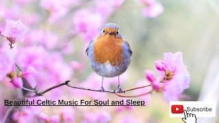 Healing Music For Soul