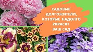 3 садовых долгожителя. Красивые и неприхотливые – они надолго украсят ваш сад