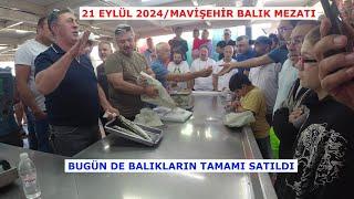 MAVİŞEHİR BALIK MEZATI ESKİ GÜNLERE DÖNDÜ BUGÜN. TÜM BALIKLAR SATILDI.