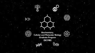 The Biochemistry Cellular and Molecular Biology BCMB Graduate Program at Johns Hopkins