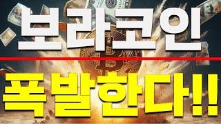 보라 코인대박 가격 폭발합니다 초대박 펌핑예고 