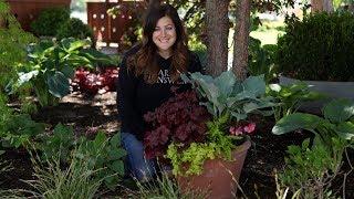 Perennial Shade Container  Garden Answer