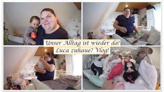 Zurück im Alltag Luca zuhause? Geschenke  Vlog  Reborn Baby Deutsch  Little Reborn Nursery