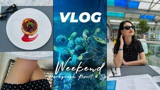 VLOG  ვლოგი ორდღიანი დასვენება პარაგრაფში  Weekend  Paragraph Resort & Spa Shekvetili