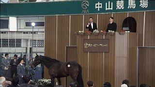  Japanese Horse Breeding-Michael Blowen-Old Friends Farm