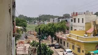 Locust spotted in AYODHYA BYPASS  BHOPAL