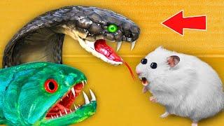  SNAKE & PIRANHAS  - Hamster Maze with Traps ️ OBSTACLE COURSE