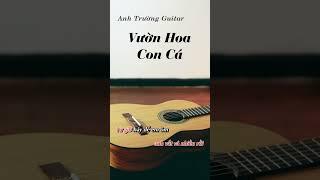 Karaoke Vườn Hoa Con Cá - Olew Guitar Solo Beat Acoustic  Anh Trường Guitar  #vuonhoaconca