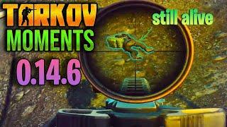 EFT Moments 0.14.5 ESCAPE FROM TARKOV  Highlights & Clips Ep.277