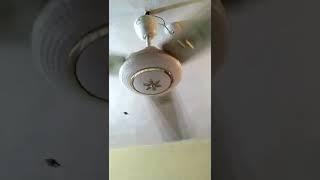 Noisy ceiling fan