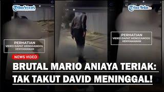 Viral Video Anak Pejabat Pajak Aniaya David Sampai Koma Pelaku Teriak Tak Takut Korban Meninggal