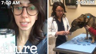 A Veterinarians Entire Routine from Waking Up to Treating Pets  Allure