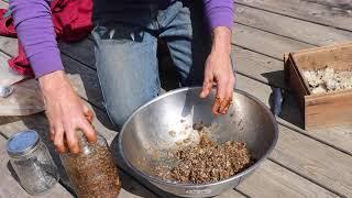 Making IMO 2 or Fermenting Local Microorganisms