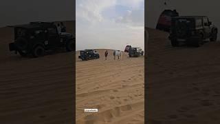 sunday offroading  horse power with actual horse  in power  dune bashing #automobile