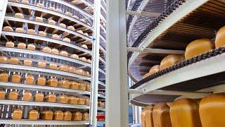 놀라실겁니다  스케일이 남다른 우리밀 100% 식빵 밤식빵 자동화 생산라인  Automated White Chestnuts Bread Mass Production line