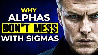 Why Alpha Males Dont Mess With Sigma Males