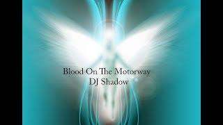 Blood On The Motorway  DJ Shadow